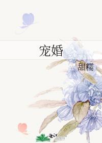 宠婚萝卜兔子全文免费阅读