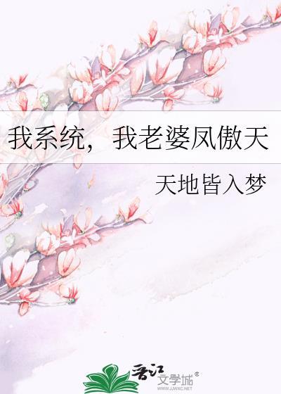 我老婆凤傲天番外