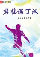 君临诺丁汉起点