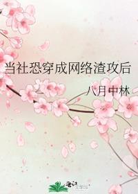 当社恐穿成网络渣攻后百度TXT