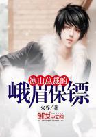 冰山总裁的神级保镖