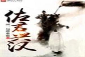 佐汉是什么意思