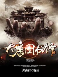 我在大唐图书馆