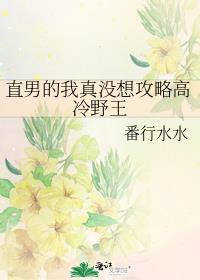 我真的是直男游戏