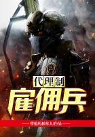 代理制雇佣兵大结局