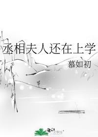 丞相夫人还在上学提取码