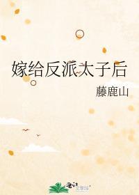 嫁给反派以后格格党