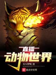 电视直播动物世界