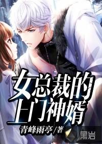 女总裁的上门神婿免费阅读