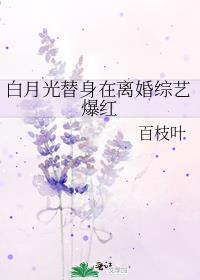 白月光替身梗