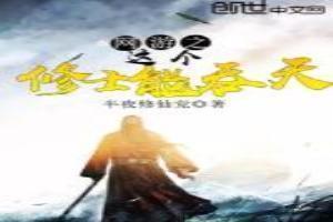 网游之修真法师全集