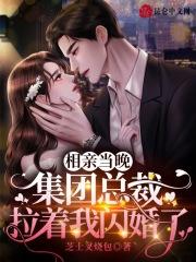 相亲当晚集团总裁拉着我闪婚了 芝士叉烧包