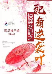 快穿之配角逆袭之战