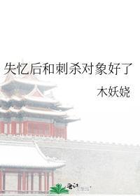 失忆后和刺杀对象好了 作者木妖娆