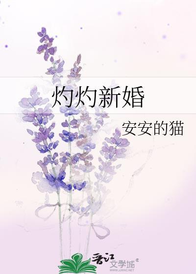 灼灼新婚txt