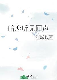 暗恋听见回声江城以西