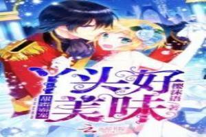 甜蜜霸宠首席执行官