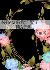 装beta后我迎娶了顶a元帅笔趣阁最新章节更新