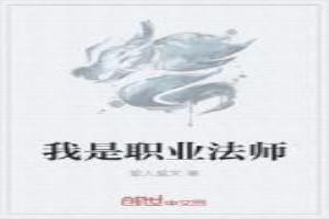 我职业法师图片