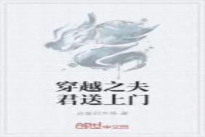 穿越之夫君五六七八个