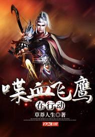 喋血行动电视剧全集