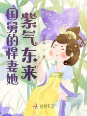 国舅的悍妻他紫气东来