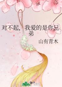 火影对不起我爱的是你弟