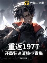 重返1977顶点