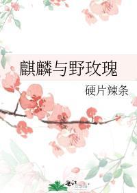 麒麟玫瑰怎么养