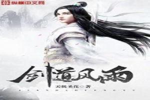 剑道风云在线阅读