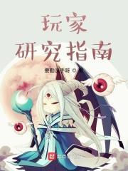 玩家研究指南TXT免费