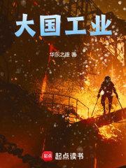 大国工业精校版txt