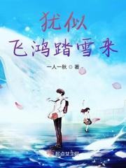 应似飞鸿踏雪泥歌词