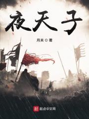夜天子电视剧百度百科