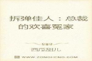 拆弹佳人总裁的欢喜冤家在线观看