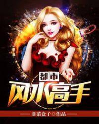 都市风水高手txt下书网
