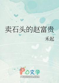 卖石头的赵富贵图片