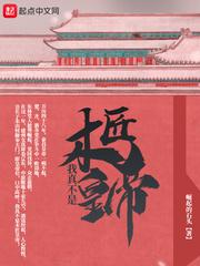 我真不是木匠皇帝TXT