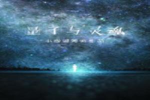 量子与灵魂最新