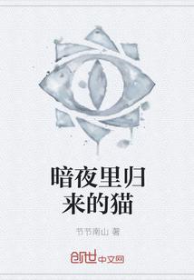 暗夜猫图片