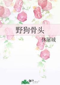 野狗骨头全文免费阅读无弹窗