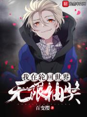 我在无限轮回界当司机