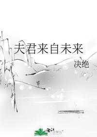 夫君来自未来决绝txt