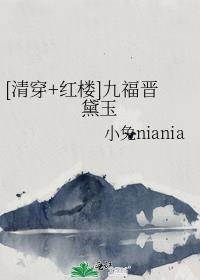 [清穿+红楼]九福晋黛玉