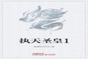 执天圣皇传